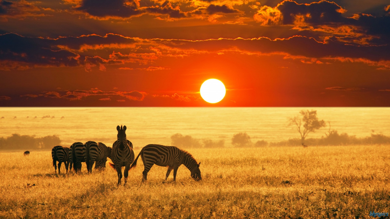 6 Mesmerizing Reasons Why You Should Visit Africa! BMS Bachelor of