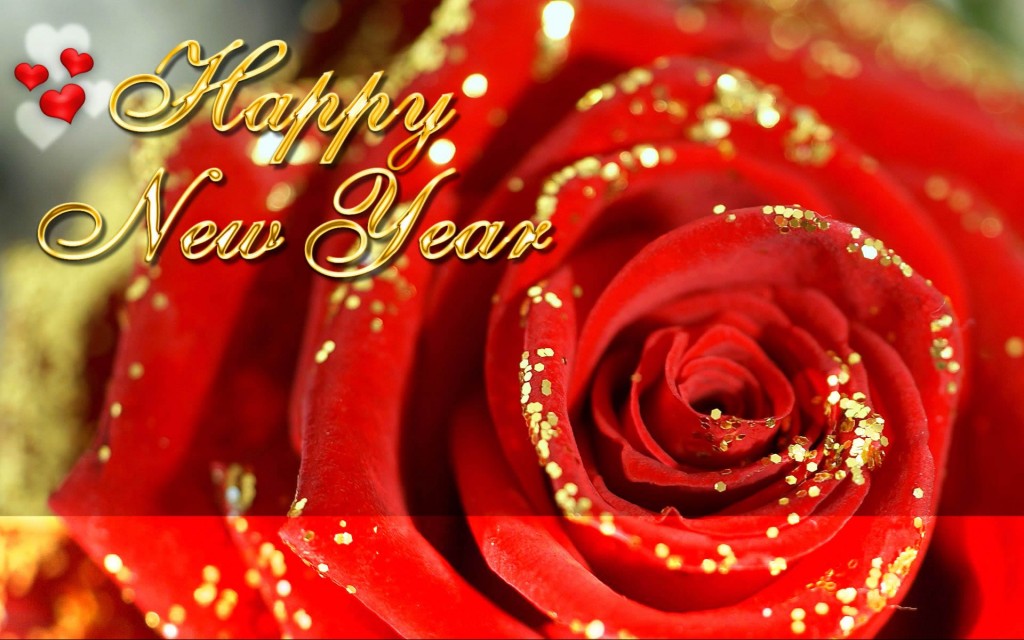 happy-new-year-4-rose
