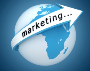 international marketing 310 245