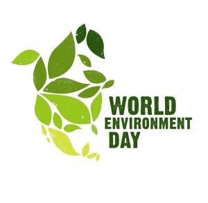 World-Environment day causes
