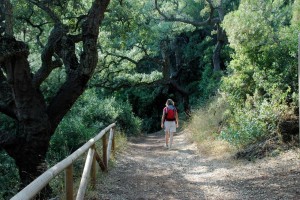 spain-andalucia-walking-along-shaded-path