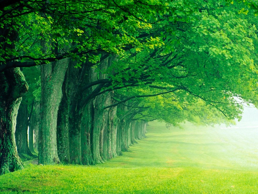 Beautiful-Summer-Wallpaper