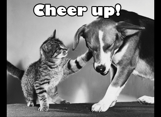 Cheer-up-silly-dog