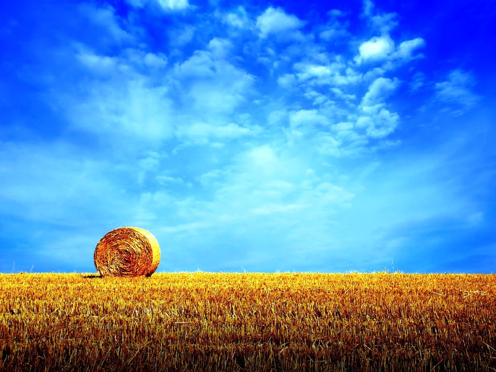 Cool-Summer-Desktop-Wallpaper1