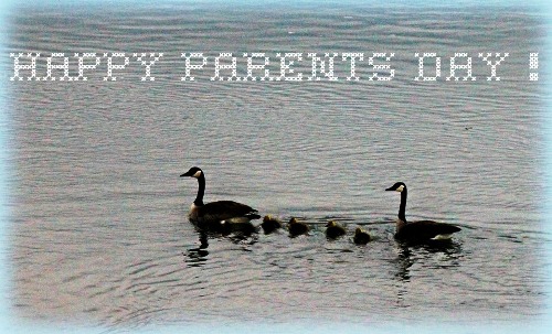 National-Parents-Day-2