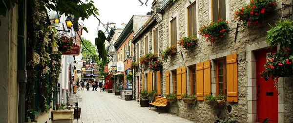 Québec City SummerC'est La Vie Québec