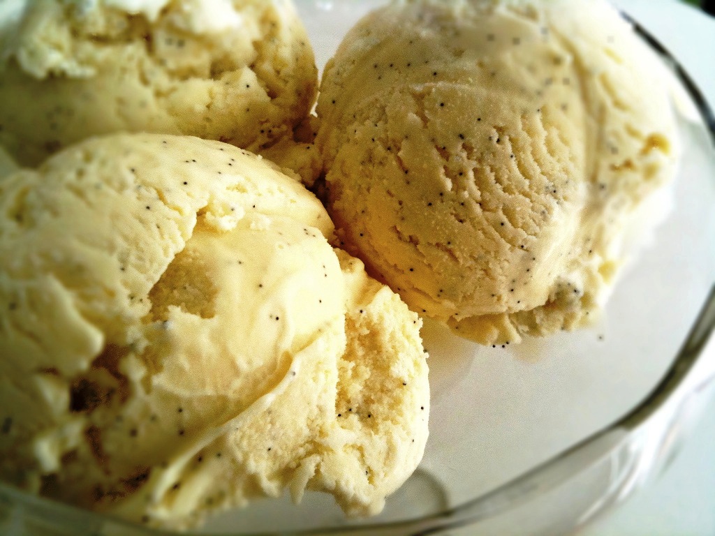 Vanilla Ice Cream Day 2