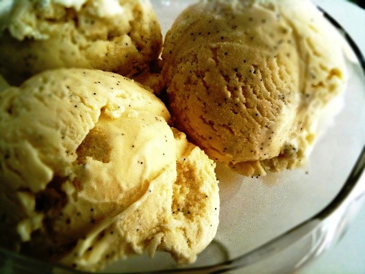 Vanilla Ice Cream Day 2