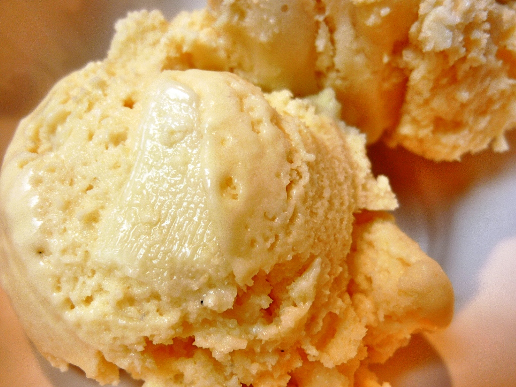 Vanilla Ice Cream Day 8