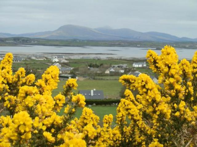 filename-p4050245-jpg