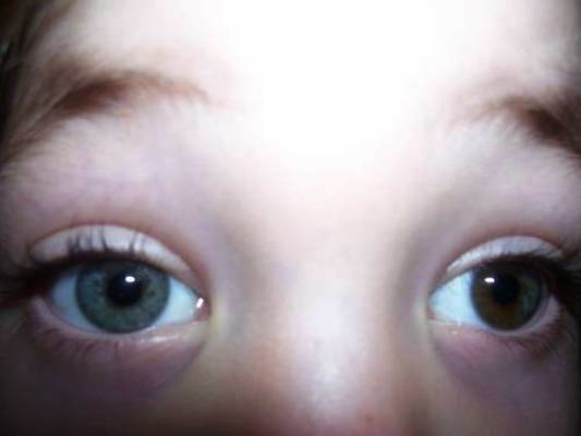 post_588318_1227056017_med