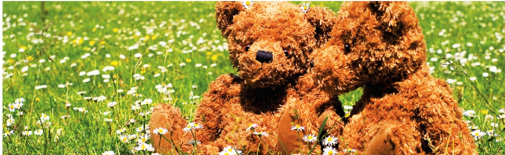 teddy bear 5