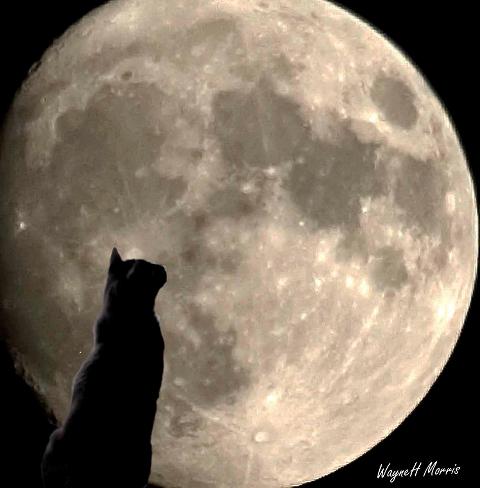 August Full Moon Day 6