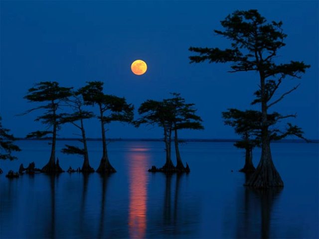 August Full Moon Day 7