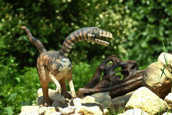 Compsognathus-600x400