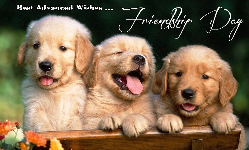 Friendship Forever HD Wallpaper - 36