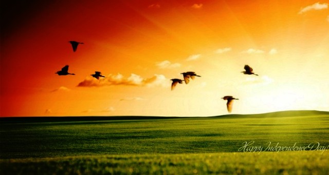 Independence-Wallpapers-For-15-August-25-800x426