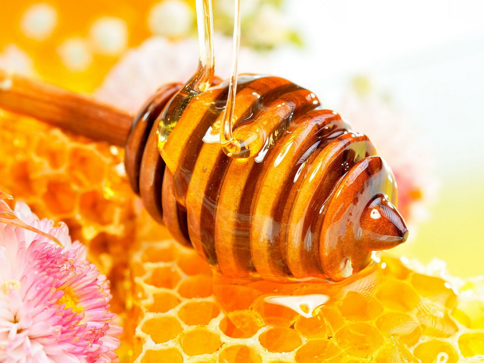 10 Amazing Methods to Use Honey