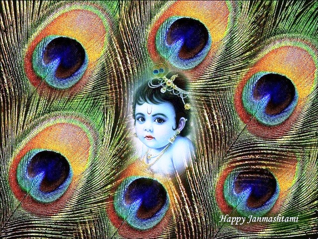 janmashtami12