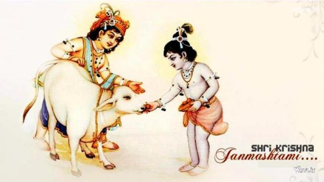 krishna jayanti28