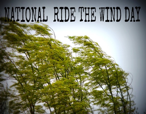 ride the wind day02