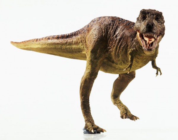 tyrannosaurus-rex-600x471