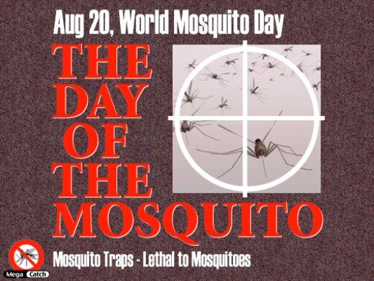 world mosquito day05