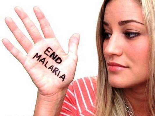 world mosquito day07