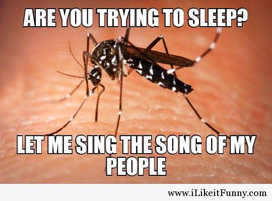 world mosquito day08