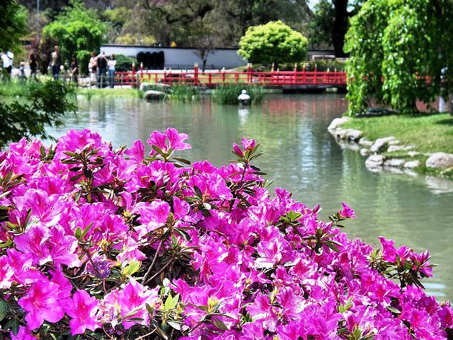 Argentina Spring Day 3