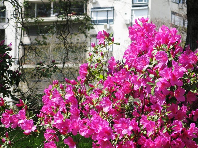 Argentina Spring Day 4