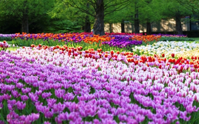 Argentina Spring Day 6