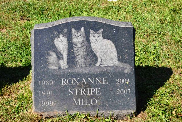 National Pet Memorial Day 01