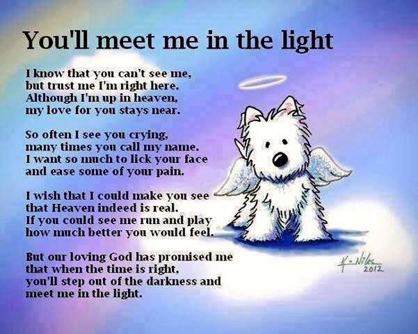 National Pet Memorial Day 02