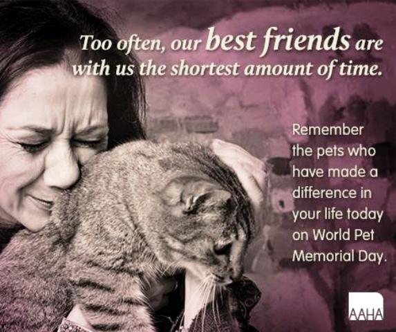 National Pet Memorial Day 06