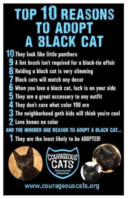 National Pet Memorial Day 08