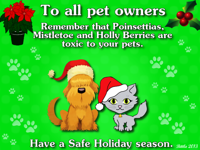 National Pet Memorial Day 13