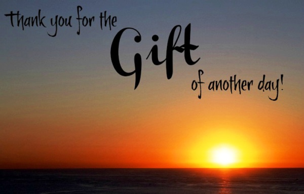 World Gratitude Day 04