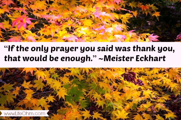 World Gratitude Day 10