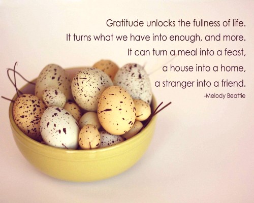 World Gratitude Day 15