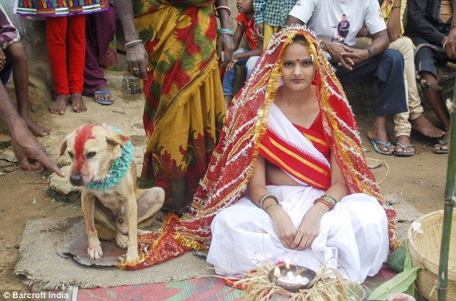 woman marries stray dog