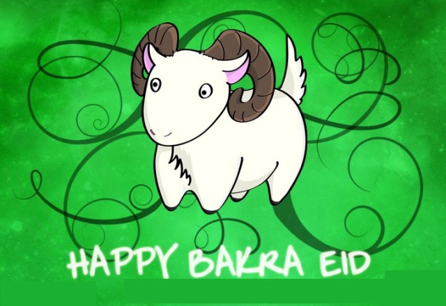 Bakra Eid 17