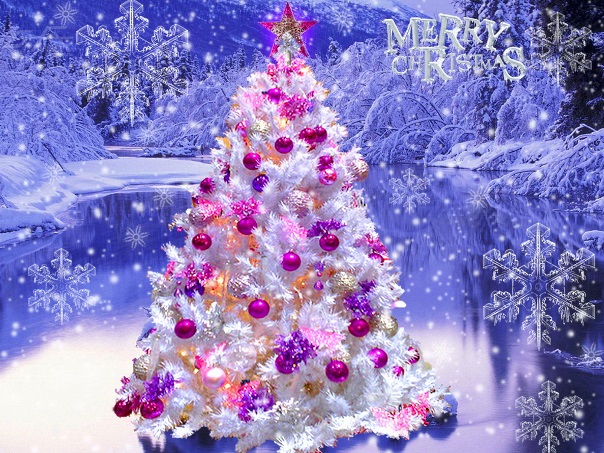 Beautiful-Christmas-Tree-christmas-27617948-1024-768 (604x453) (604x453)