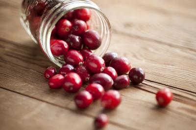 Eat A Cranberry Day (27)