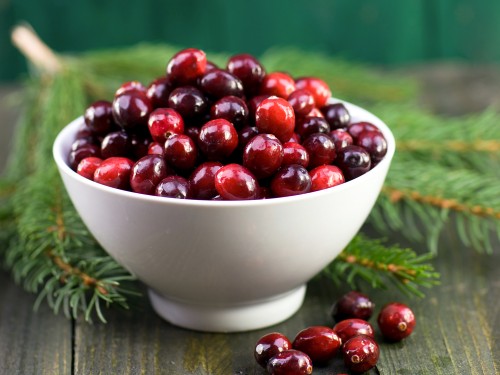 Eat A Cranberry Day (30)