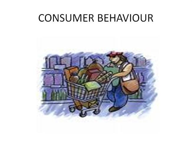 Nicosia model of Consumer Behavior