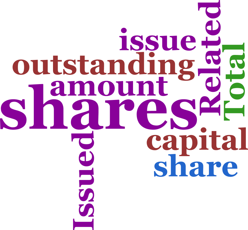 Share Capital. What is share Capital?. Issue of shares. Ey share Capital. Public issue