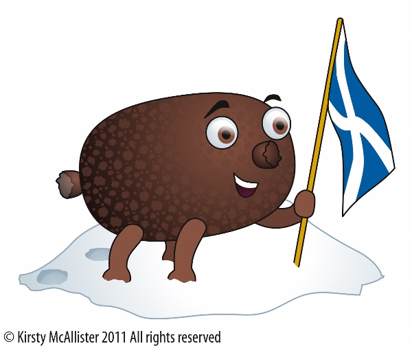 St. Andrew's Day (20)