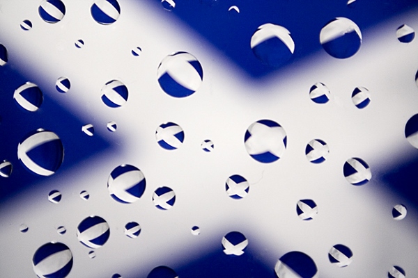 St. Andrew's Day (23)