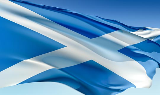 St. Andrew's Day (28)